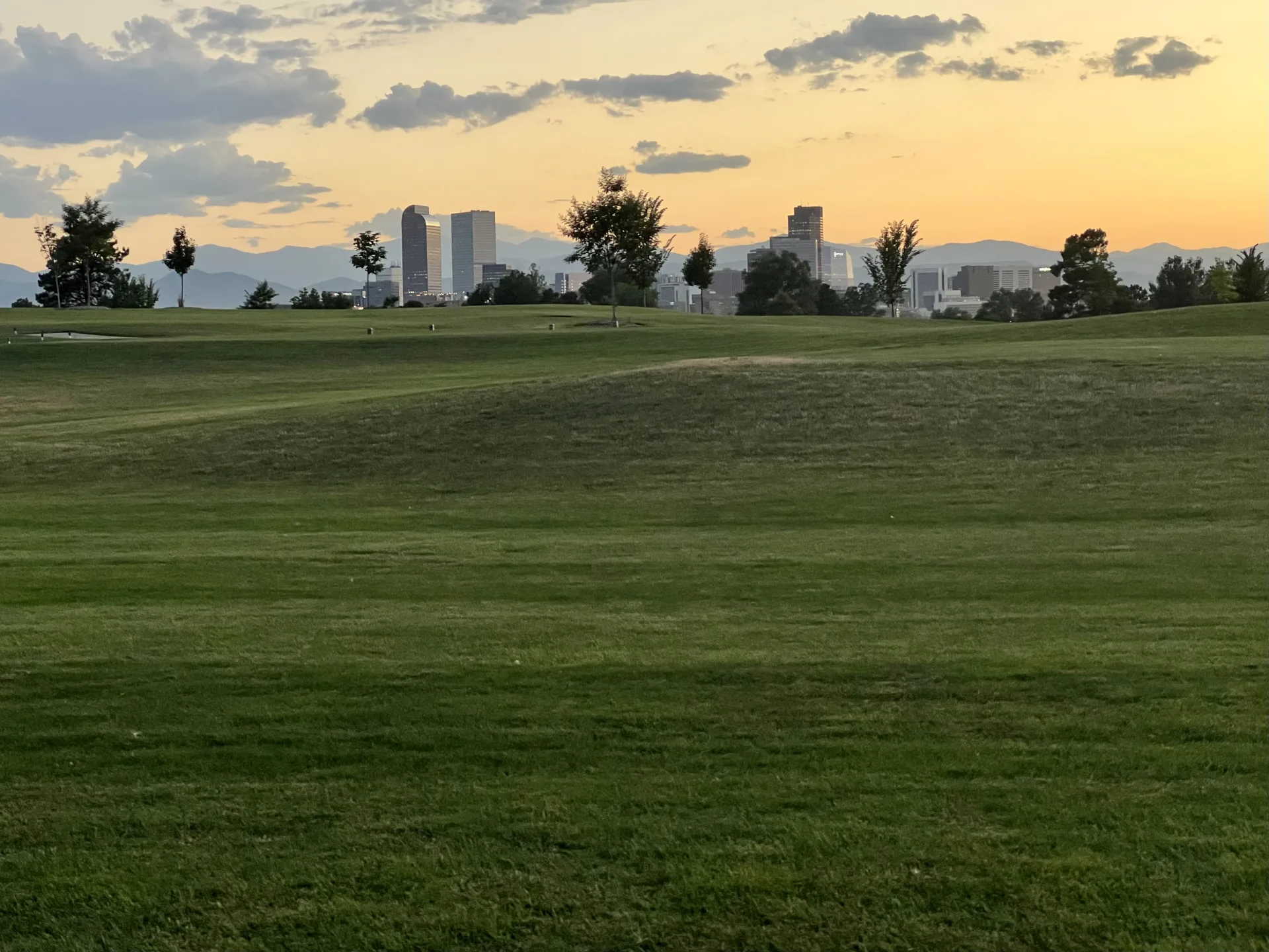Backyard putting green with artificial turf