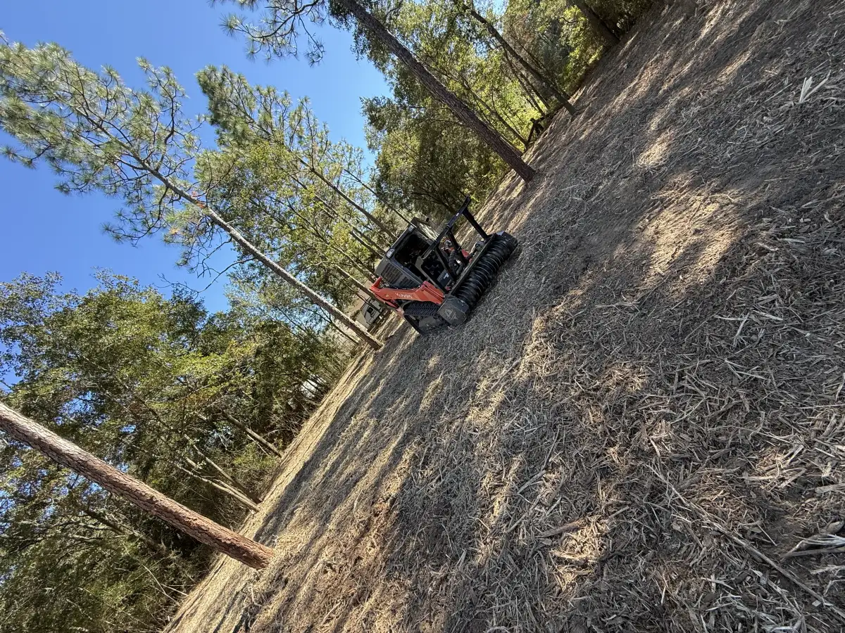 Property after forestry mulching completion