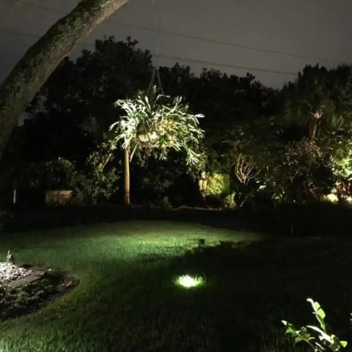 Professional landscape lighting installation on a Gulf Coast home by Way's Lawn and Landscape