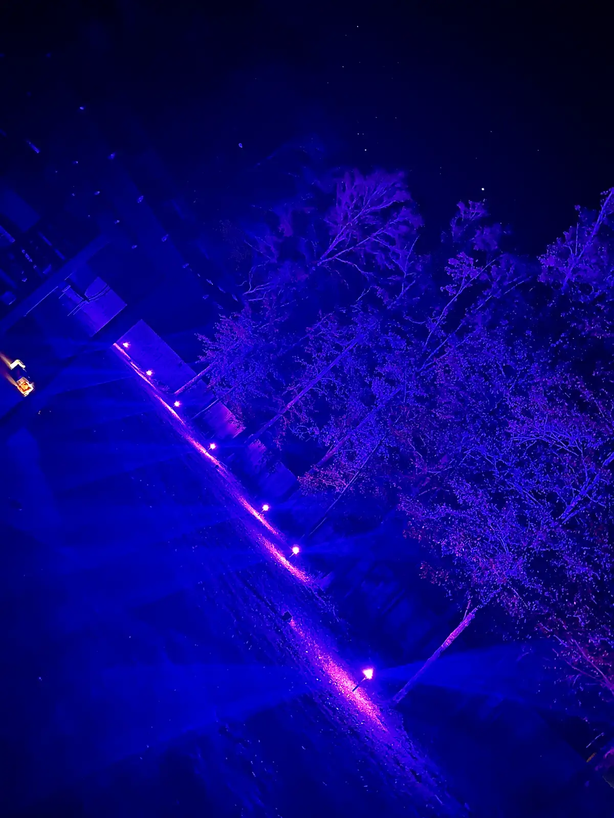 Security landscape lighting on a residential property in the Gulf Coast area