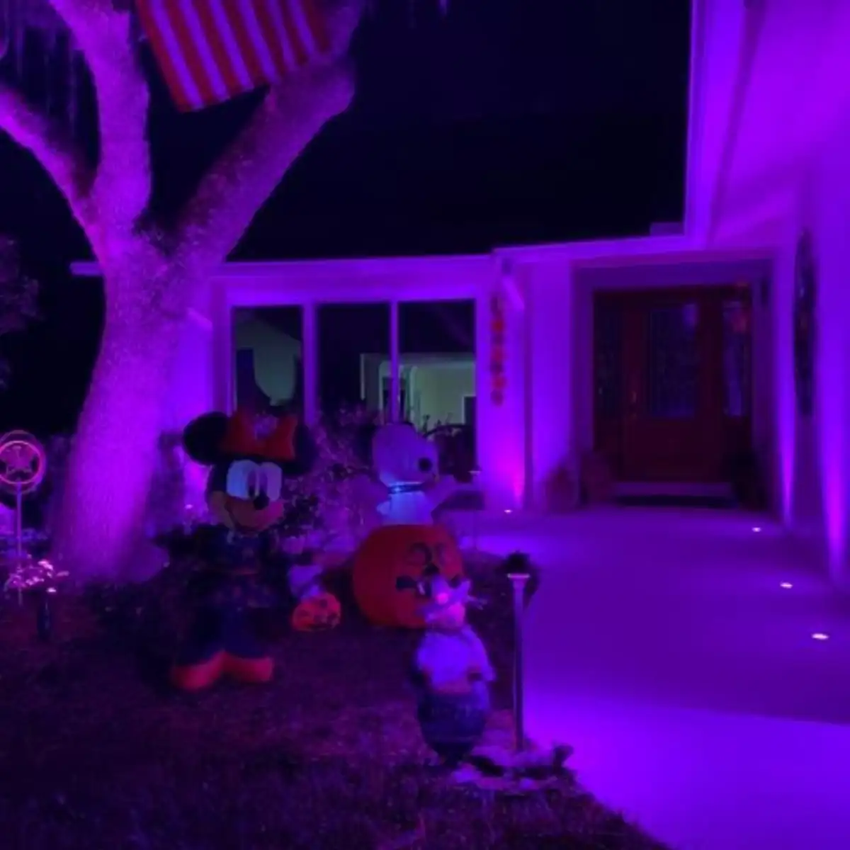 Low-voltage lighting brightening a landscaped Gulf Coast walkway