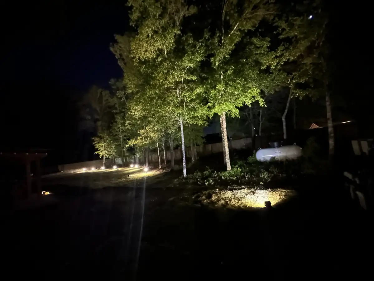 LED landscape lighting highlighting palm trees
