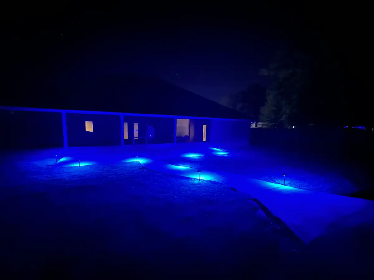 Landscape lighting illuminating trees and landscaping at night
