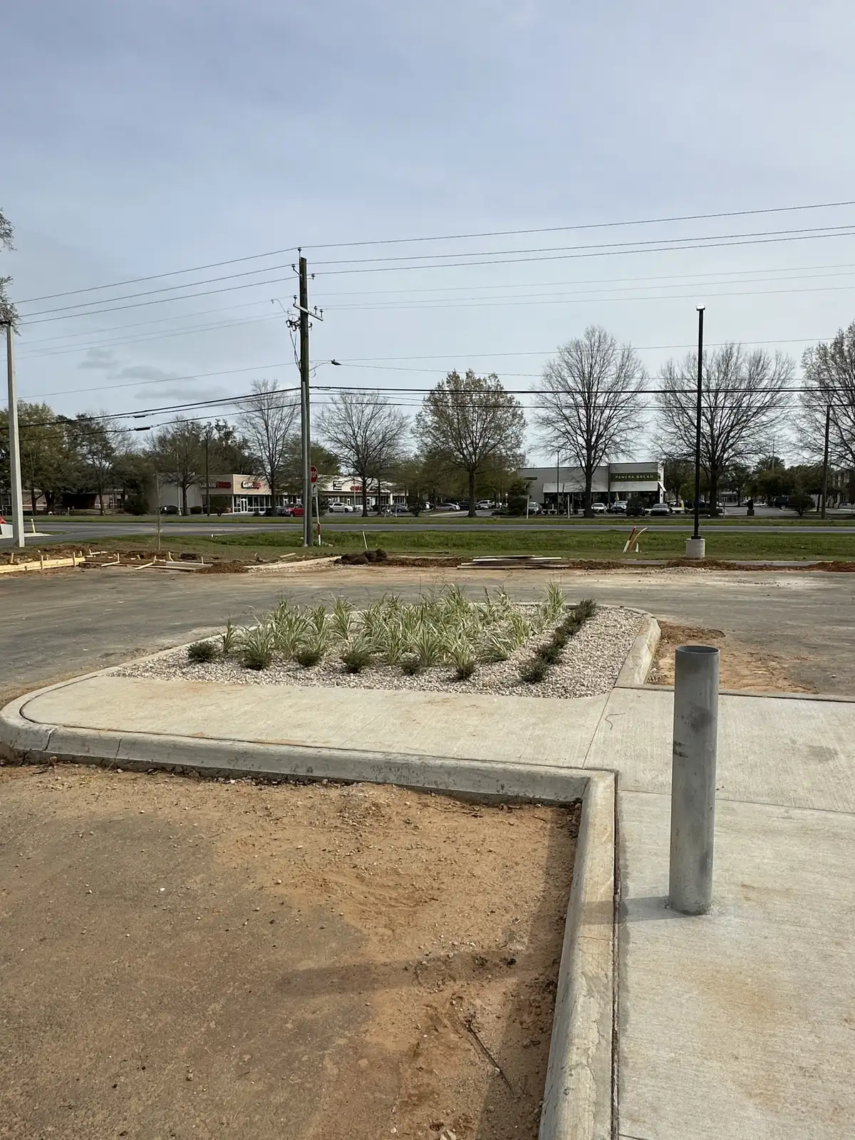 Healthy green lawn maintained by Way's Lawn and Landscape in Pensacola FL