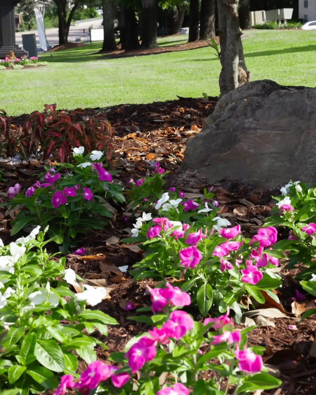 Professional landscaping in Pensacola FL