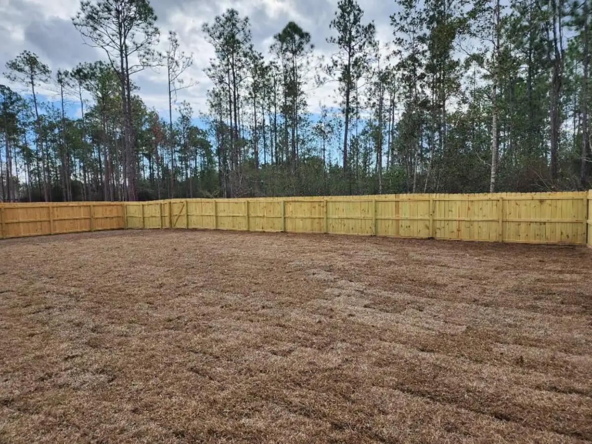 Fresh sod installation on residential lawn